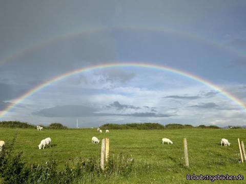 Rainbow: 