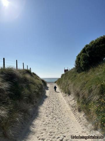 Strand (Noah): …und mittendrin der kleine Noah…