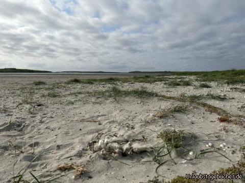 Annagh Beach I: 