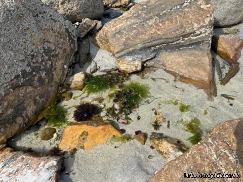 Rock Pool: Rock Pool am Cross Beach…