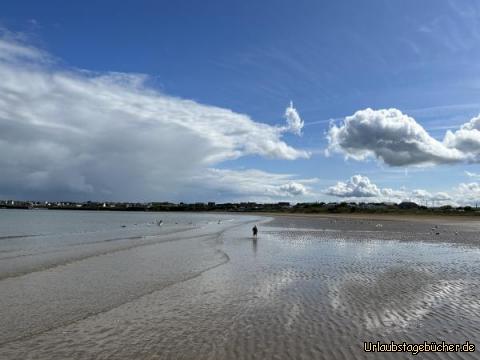 Beach: …dieses Mal gehörte der gesamte Strand Seán…nur mit den Möven zu teilen…