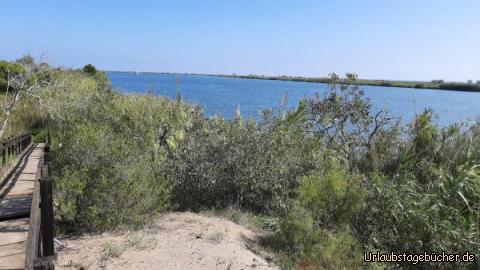 Die Mündung des Ebro ins Mittelmeer: Die Mündung des "Ebro" ins Mittelmeer