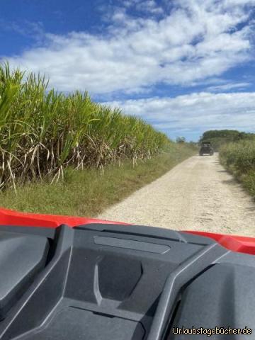 Barbados 5: 