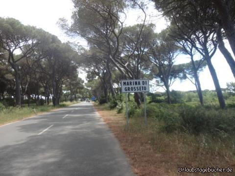 Genua klkl: Wieder auf längerer Landstraße etwas im Landesinneren getrennt vom Meer durch Pinienwälder .