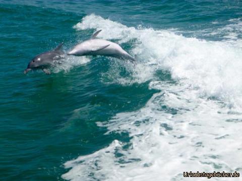 DelphineSprung 1: 
