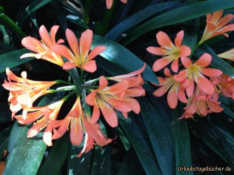 Botanischer Garten 3: 