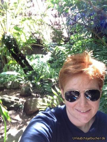 Botanischer Garten 2: 