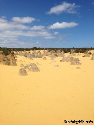 Pinnacles1: 