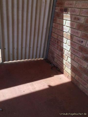 Schlange: Sie ist nicht sehr gut zu erkennen. Sie war sehr schnell.
Beim ran zoomen müsstet ihr es besser sehen.