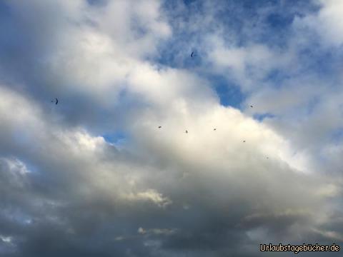 Skydive6: Als ob Ameisen aus dem Flugzeug gesprungen sind