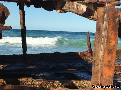Fraser Island16: Auf der Insel liegt ein Schiffswrack. Dieses Schiff ist vor Jahrzehnten dort gestrandet und konnte nicht mehr fortgebracht werden