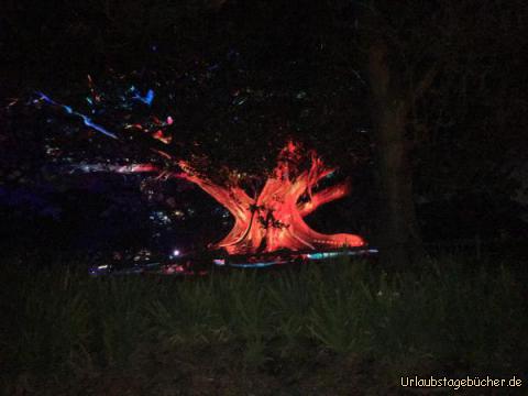 Sydney Vivid13: Botanischer Garten