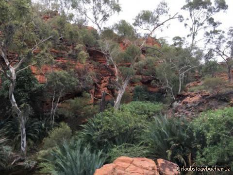 outback20: Garden of Eden. Adam und Eva fehlten, aber die Schlange war da :-)