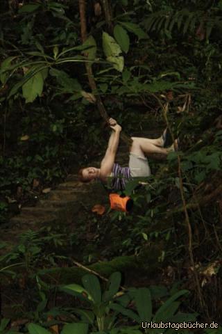 Affe: Ich hab mich mal als Affe versucht