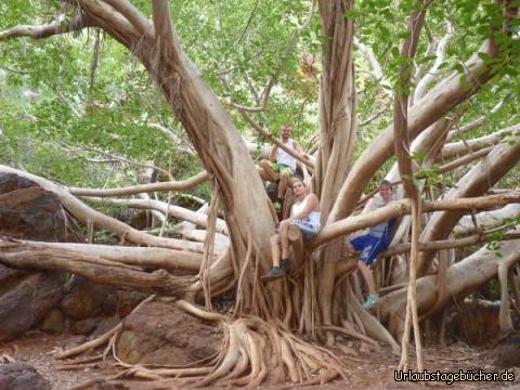 karijini3: David, Aymeric und ich :-)