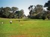 Golden Gate Park: ein Blick quer durch den Golden Gate Park