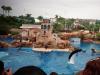 Delphinsprung: ein springender Delphin bei der Dolphin Show