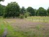 Durch die Heide weiter zum Flugplatz Stade: 