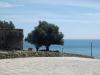 Castell mit Meerblick in Fuengirola: Castell mit Meerblick in Fuengirola