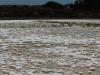 Salzgebilde im Naturschutzgebiet Ria Formosa: Salzgebilde im Naturschutzgebiet Ria Formosa