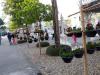 White Temple 5: 
