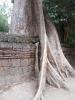 Tempel Ta Prohm 4: 