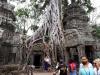 Tempel Ta Prohm 11: 