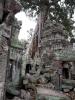 Tempel Ta Prohm 13: 