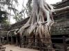 Tempel Ta Prohm 14: 