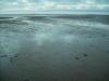 Strand: der durch die Ebbe sehr breite Strand von Dornoch am Dornoch Firth,
einem Meeresarm der Nordsee 