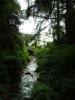 Diana's Grove: der Blick auf Blair Castle von Diana's Grove aus