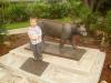 Coe Visitor Center: Viktor vor der Statue eines Pumas
am Ernest F. Coe Visitor Center im Everglades National Park