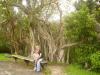 Anhinga Trail: Mama (Katy) mit Viktor auf einer Bank vor einer Mangrove
am Anhinga Trail im Everglades National Park Florida