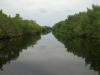 Flamingo Canal: wir fahren auf dem Flamingo Canal vom Flamingo Visitor Center aus
tief in den Everglades National Park hinein