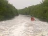 Kanu: eine Kanufahrt ist lustig, besonders im Everglades National Park
und vor allem wenn wir im Motorboot vorbeifahren und hohe Wellen machen :-)