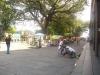 Jackson Square: das rege Treiben am Jackson Square in New Orleans,
wo es von Künstler, Musiker und Wahrsager nur so wimmelt