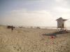 Mission Beach: der fast 2 Meilen (über 3 km) lange Strand von Mission Beach, San Diego, Kalifornien
ist trotz des tollen Wetters nur spärlich besiedelt