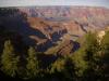 Desert View Drive: zwischen dem Grandview Point und dem Duck on a Rock Viewpoint
führt die Straße (Desert View Drive) teilweise so nah an der Abbruchkante entlang,
dass man quasi im Vorbeifahren einen tollen Blick auf den Gand Canyon hat