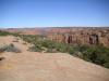 Fir Canyon: kurz bevor wir das Navajo National Monument Visitor Center in Arizona erreichen,
halten wir noch einmal, um einen schönen Blick in den Fir Canyon zu genießen