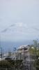 Fuji_______: 