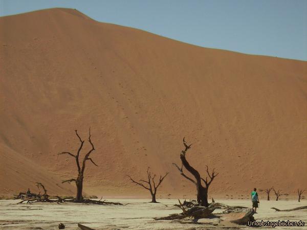 die Big Daddy Dune am Deadvlei in der Nähe des Sossusvlei in der Namib